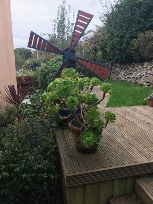 Bumble Bee Cottage Plymouth Exterior photo
