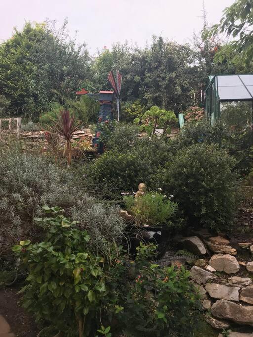 Bumble Bee Cottage Plymouth Exterior photo